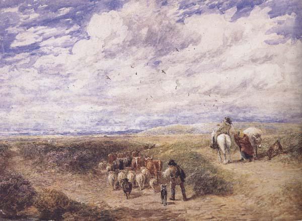 Keep the Left Road (mk47), David Cox